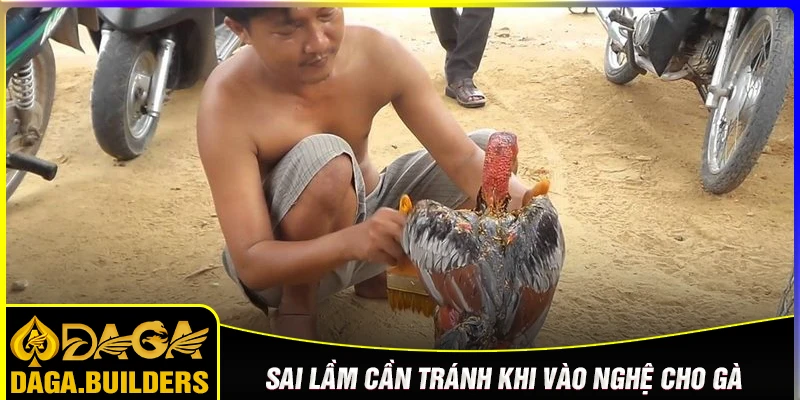 Những sai lầm thường gặp khi vào nghệ gà đá cần tránh